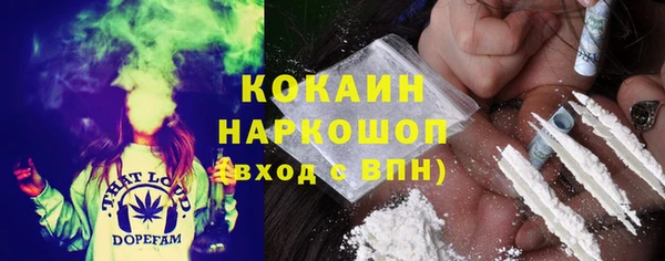 гашик Козельск
